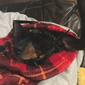 Meet your Posher, Jaclynn